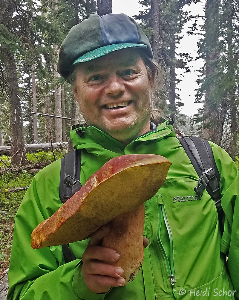 Daniel Winkler